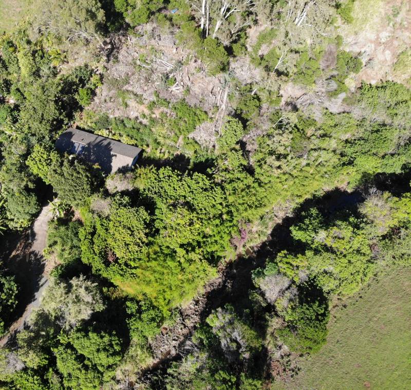 1664 Makawao Ave