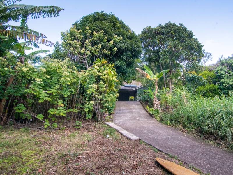 Lush, Tropical Garden