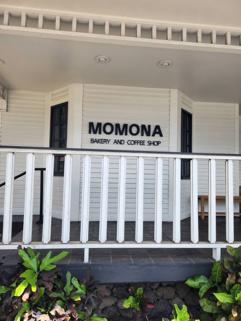 Momona - 1