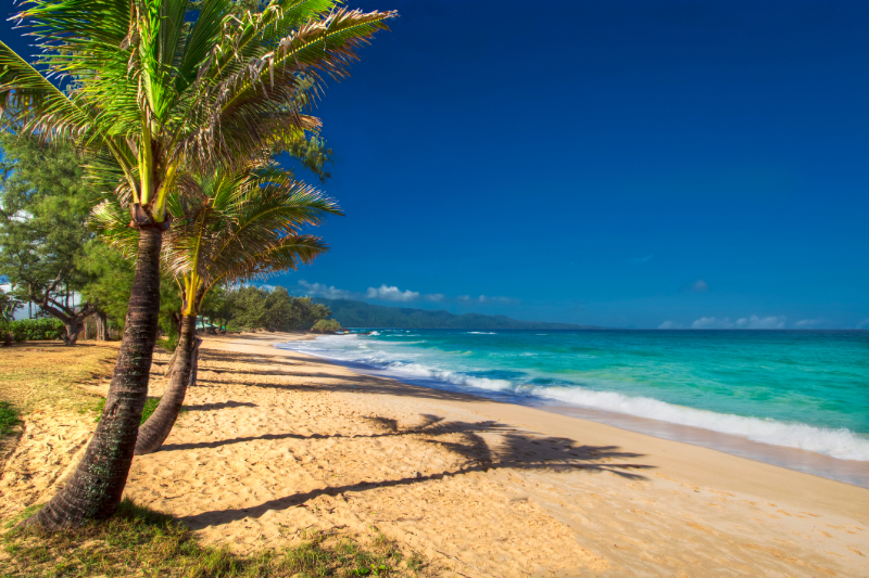 Paia