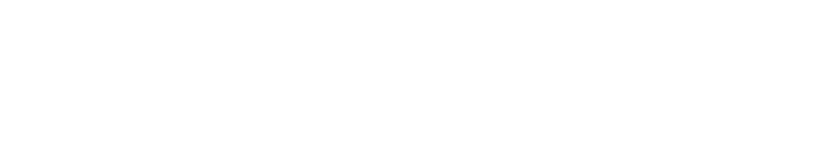 The Devery Team Logo
